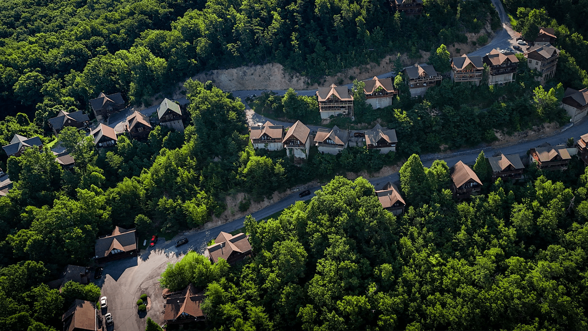 Scenic hillside cabins surrounded by forest